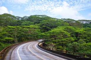 Road to Na Pali-8741 Road to Na Pali-8741